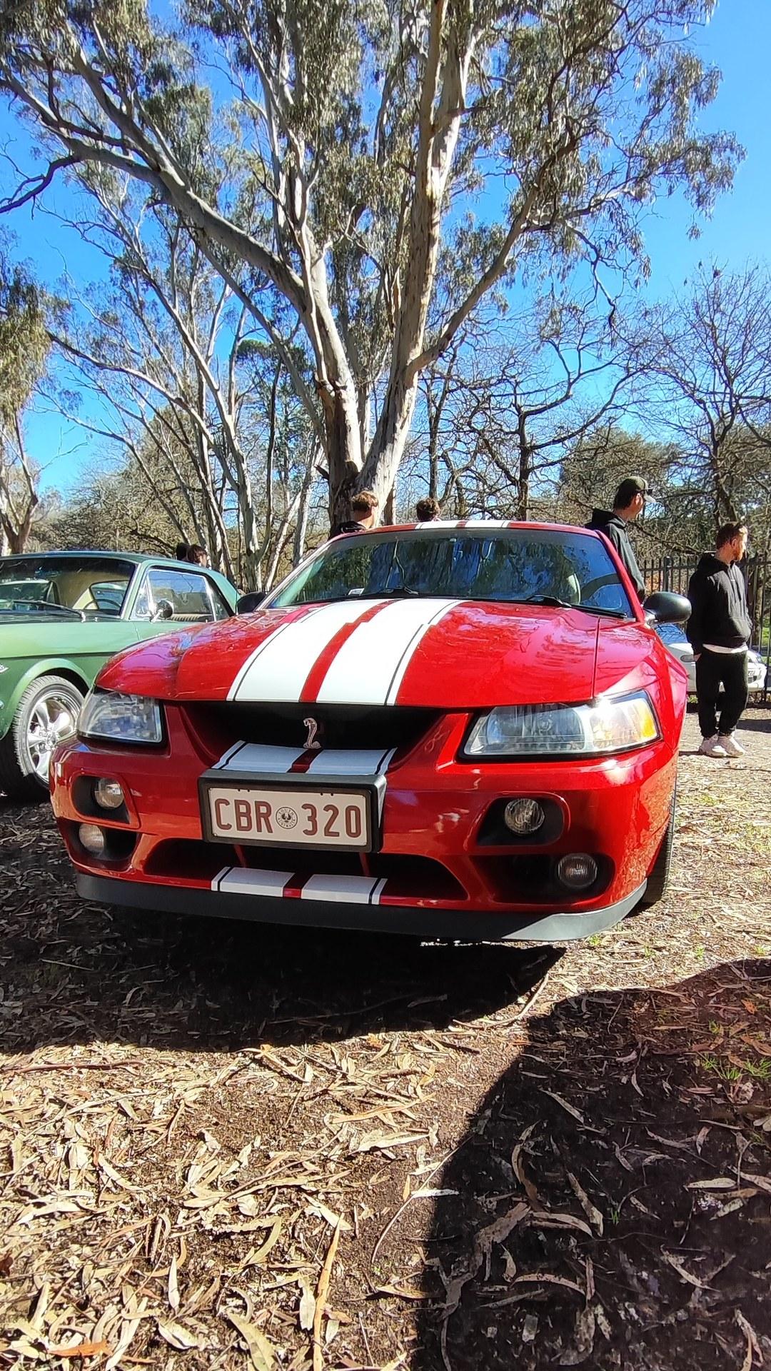 Ford Mustang 4th Gen Cobra