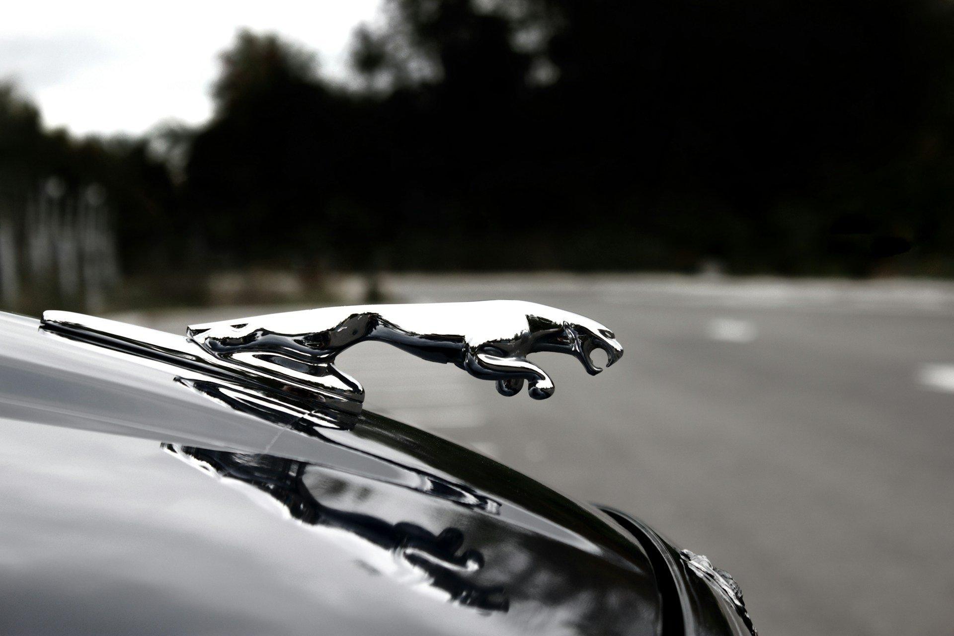 Jaguar Rebrand Part 2 | The Jag That Raised Me